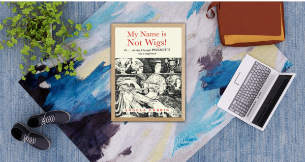 cover image for My Name is Not WIgs