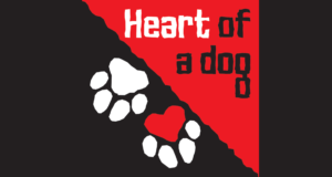 Poster image for Heart of a Dog