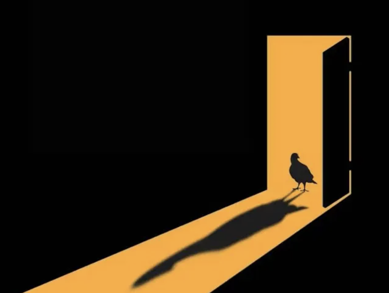 Review: There's a Pigeon in My Bathroom, Lion & Unicorn Theatre